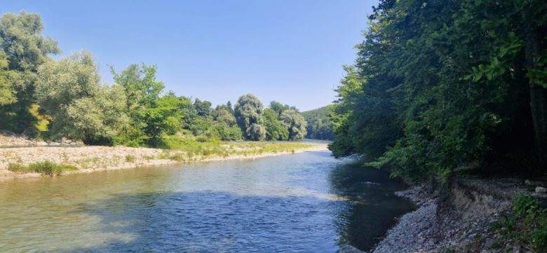Die Aare windet sich in mehreren Schlaufen um die Bundesstadt Bern. Dabei ist für lange Strecken eine natürliche Flusslandschaft erhalten geblieben. Diese ist die Kulisse für unsere Augustwanderung.