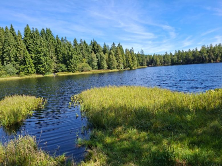 Étang de la Gruère - dieser See liegt in einem Hochmoor und ist ein Naturschutzgebiet der Freiberge im Kanton Jura. 