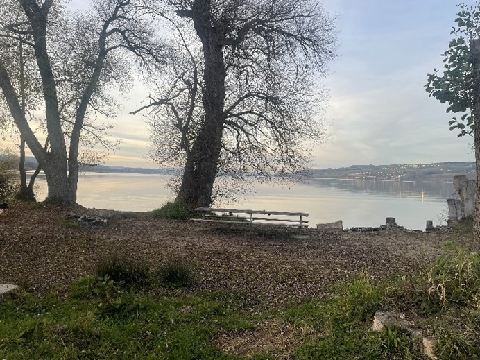 Der Blick geht von Richtung Notwill aus auf den Sempachersee. Zwei blattlose Bäume stehen am Rand des Sees. Die Sonne steht schon tief und der Himmel ist leicht bewölkt.