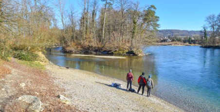 Blick auf einen kleinen, idyllischen Strand mit einem Inseli. Hinten rechts mündet die Reuss in die Aare.