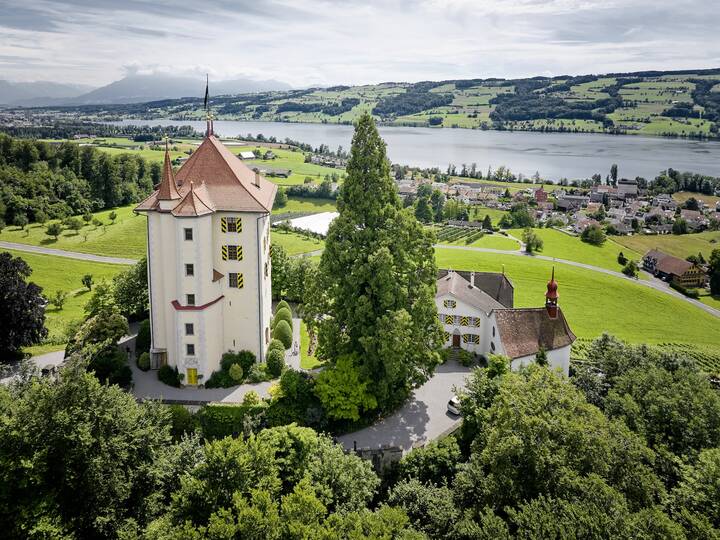 Luftaufnahme einer historischen Schlossanlage auf einem Hügel: Im Vordergrund steht ein hoher, heller Rundturm mit rotem Dach und gelb-weiss gestrichenen Fensterläden, umgeben von dichtem Grün und einem sehr hohen Baum. Daneben liegen weitere Schlossgebäude mit roten Ziegeldächern. Im Hintergrund erstrecken sich der langgestreckte Baldeggersee, Wiesen und Felder sowie ein Dorf und sanfte Hügelketten unter einem leicht bewölkten Himmel.